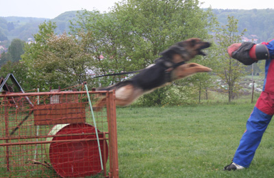 roxy4.jpg